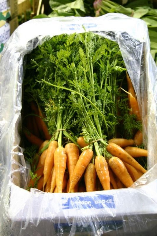 Carrots