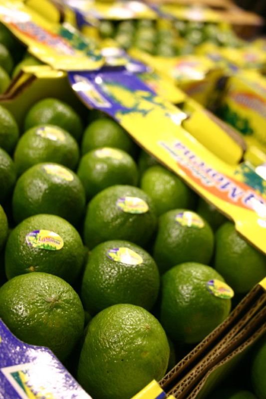 Limes
