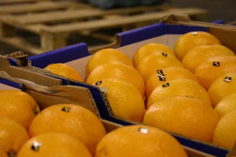 Oranges