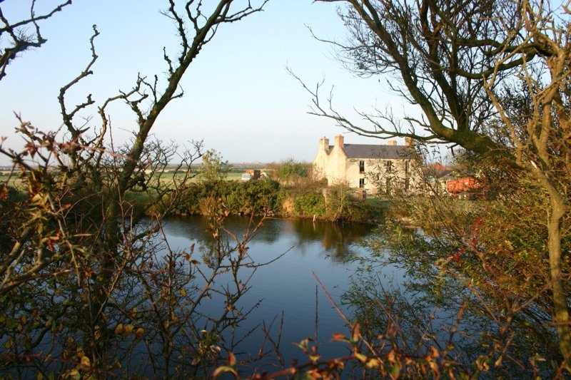 Dilapidated farm