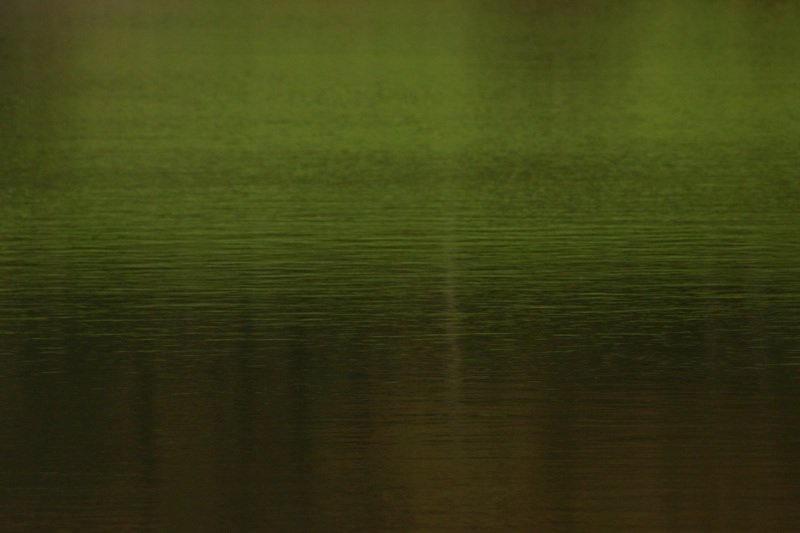 Ripples