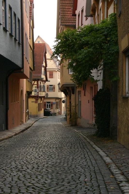 Cobbled street
