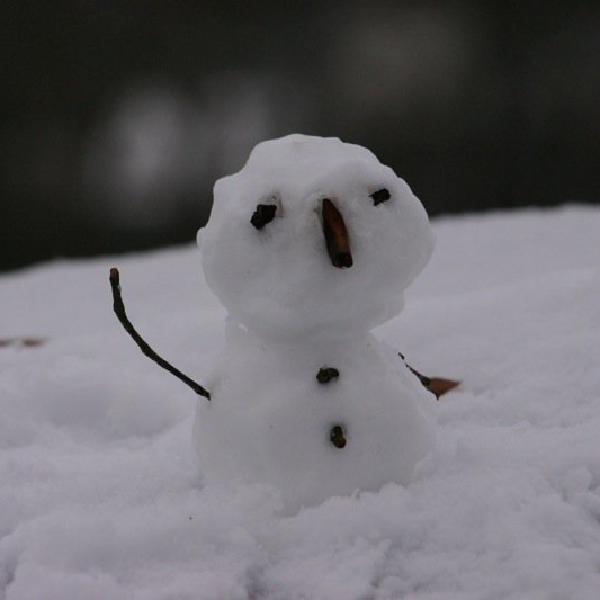 Little snowman