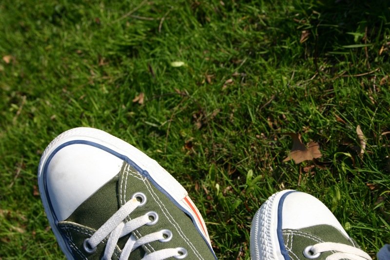 Chucks in the park