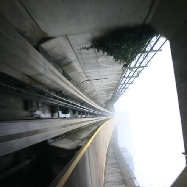 Into the open