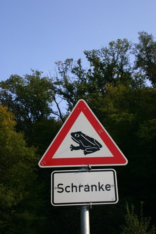 Barriers for frogs?