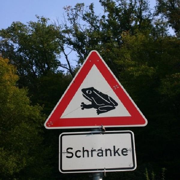 Barriers for frogs?