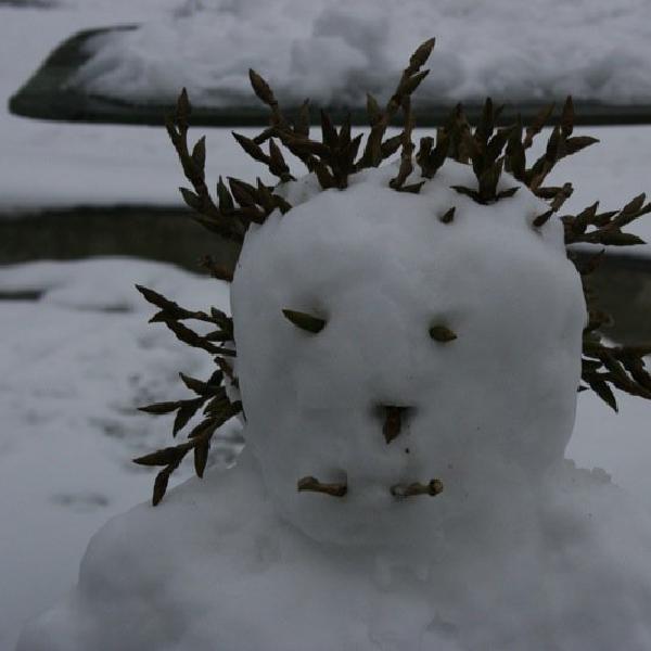 Snowpunk