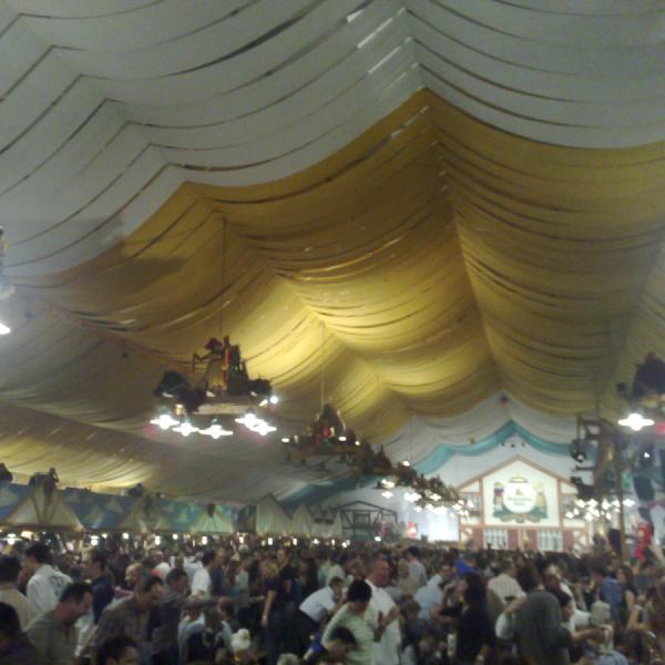 At the fest