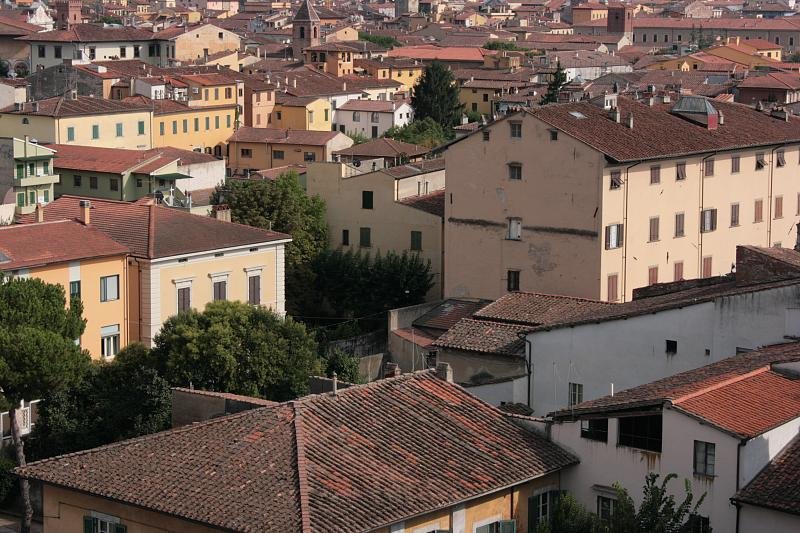 Roofs of Pisa