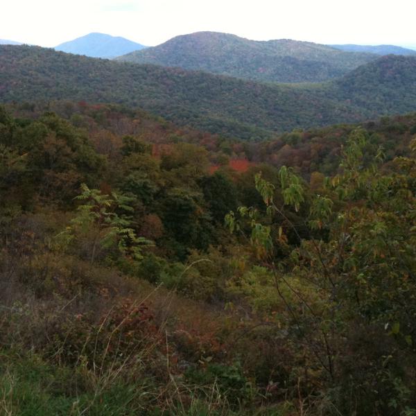 Shenandoah National Park