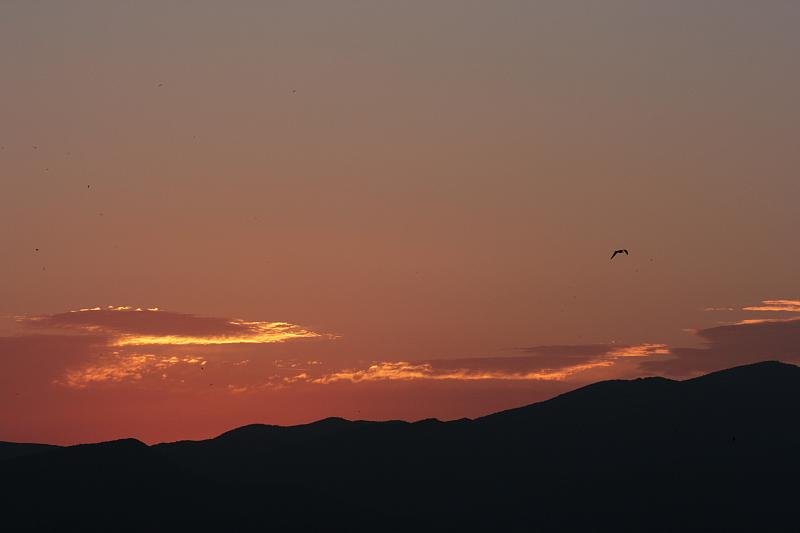 Soaring
