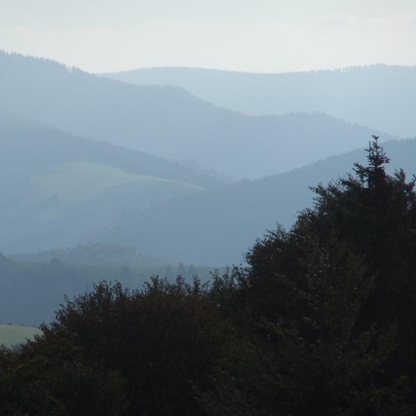 Hillside layering