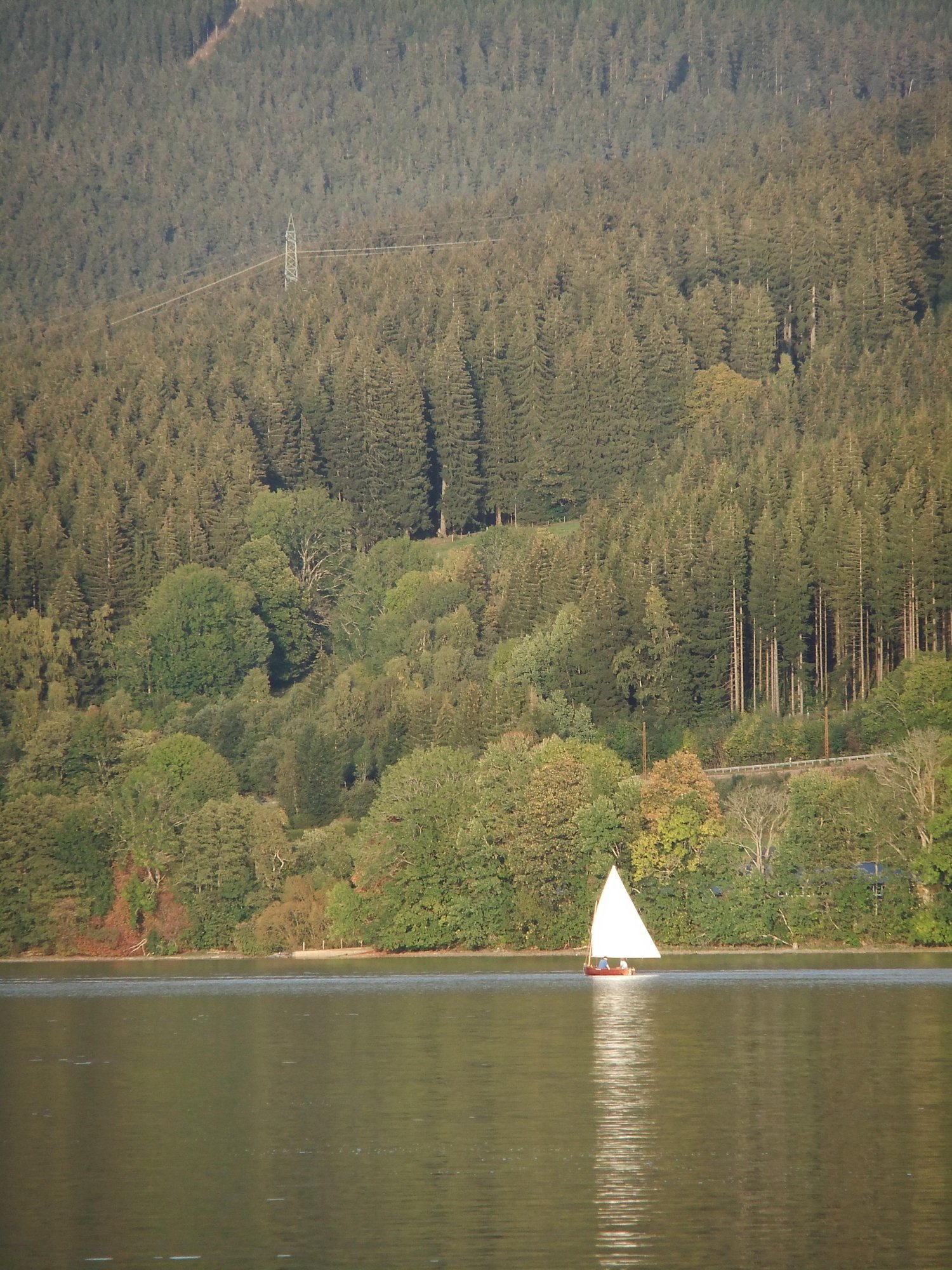 Segelboot