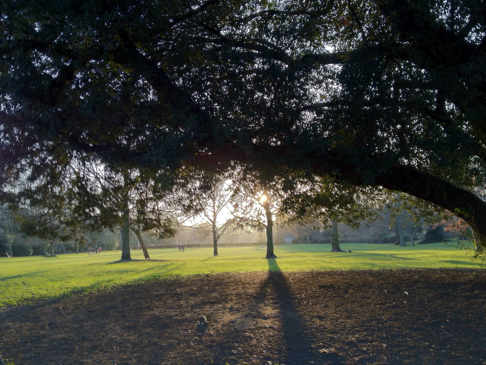 Sundown in Battersea Park