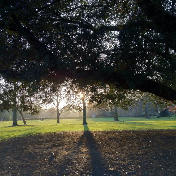 Sundown in Battersea Park
