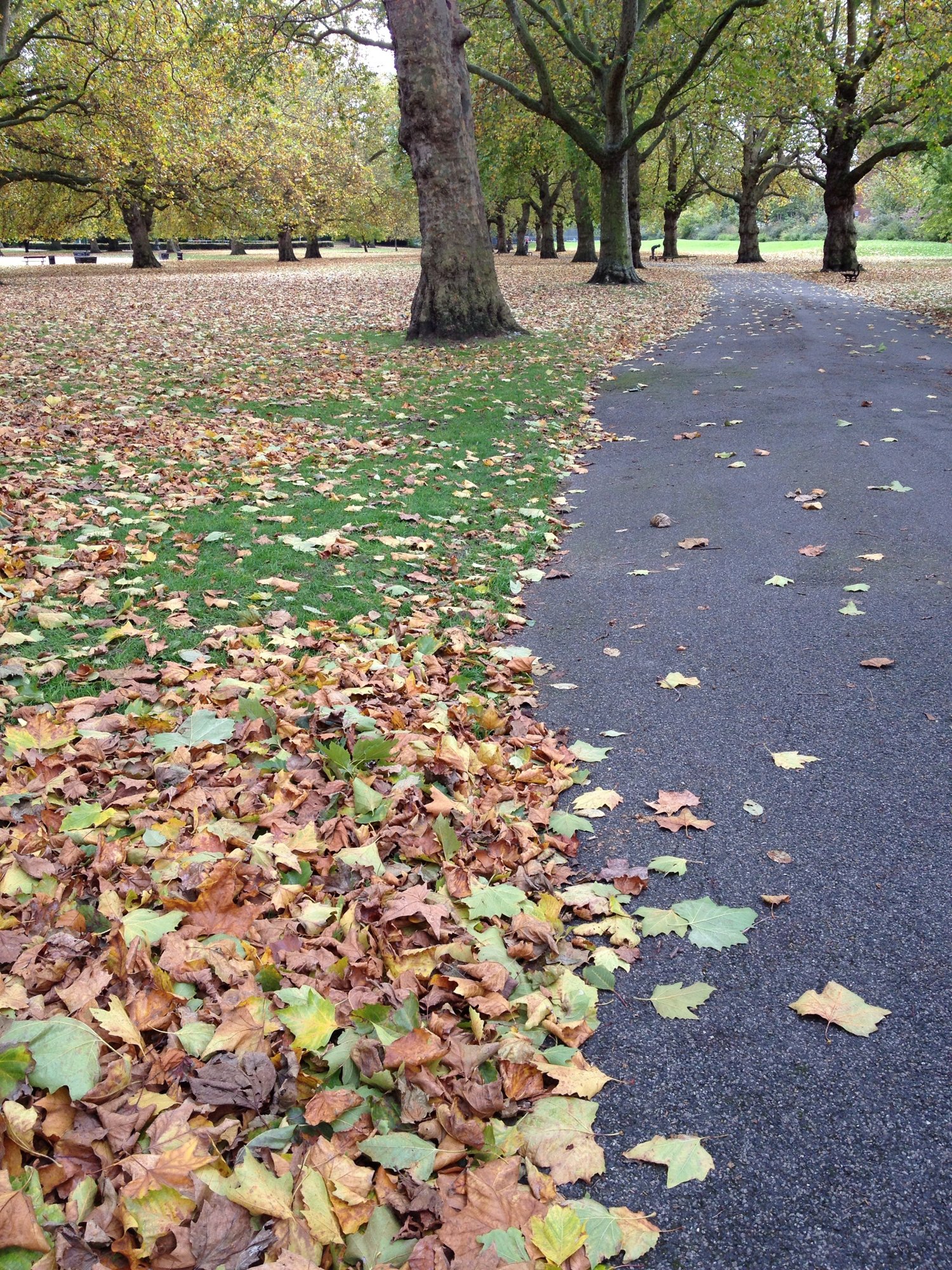 Southwark Park in Autumn