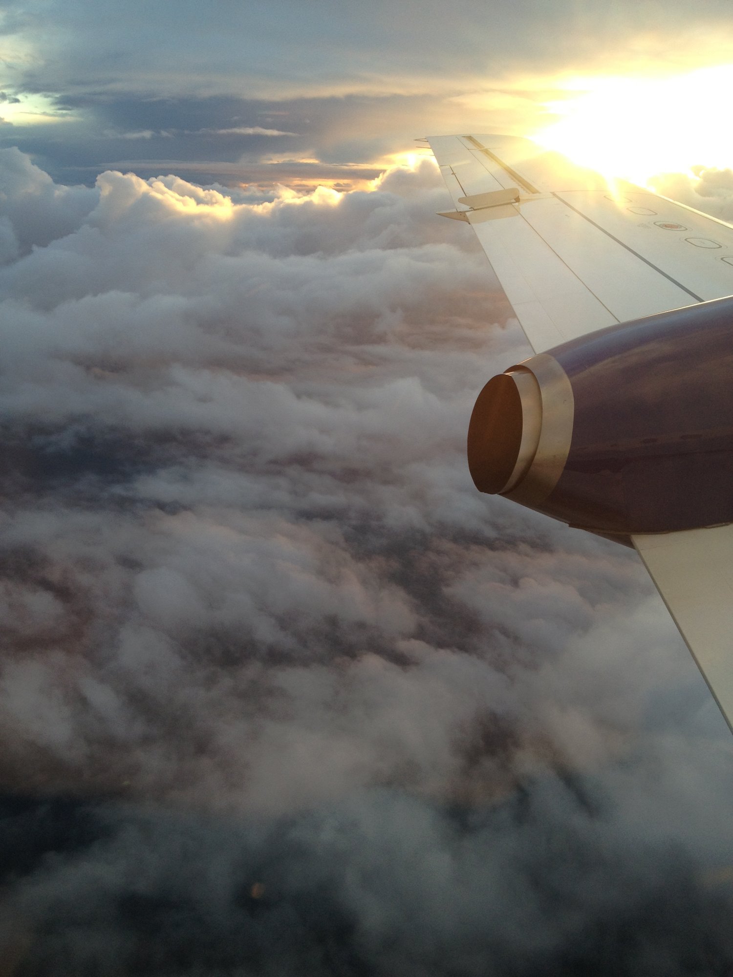 Light on the wing