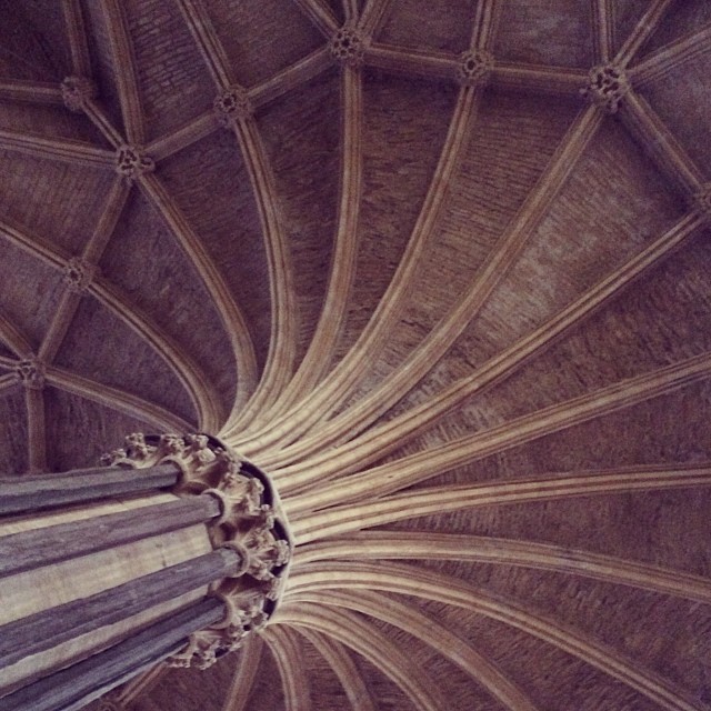 Ceiling support
