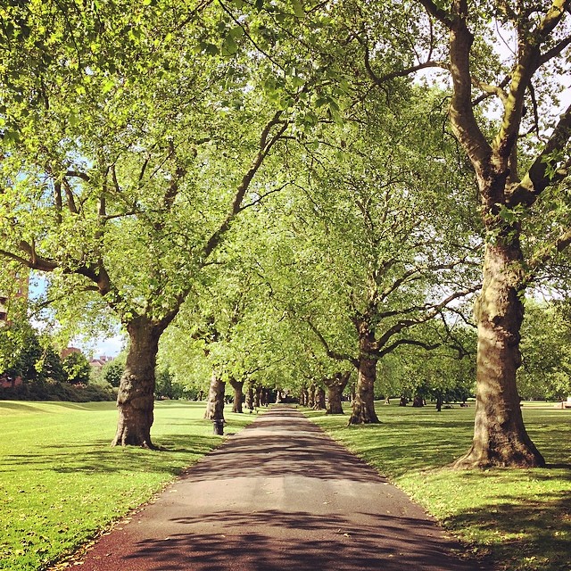 A run in the park