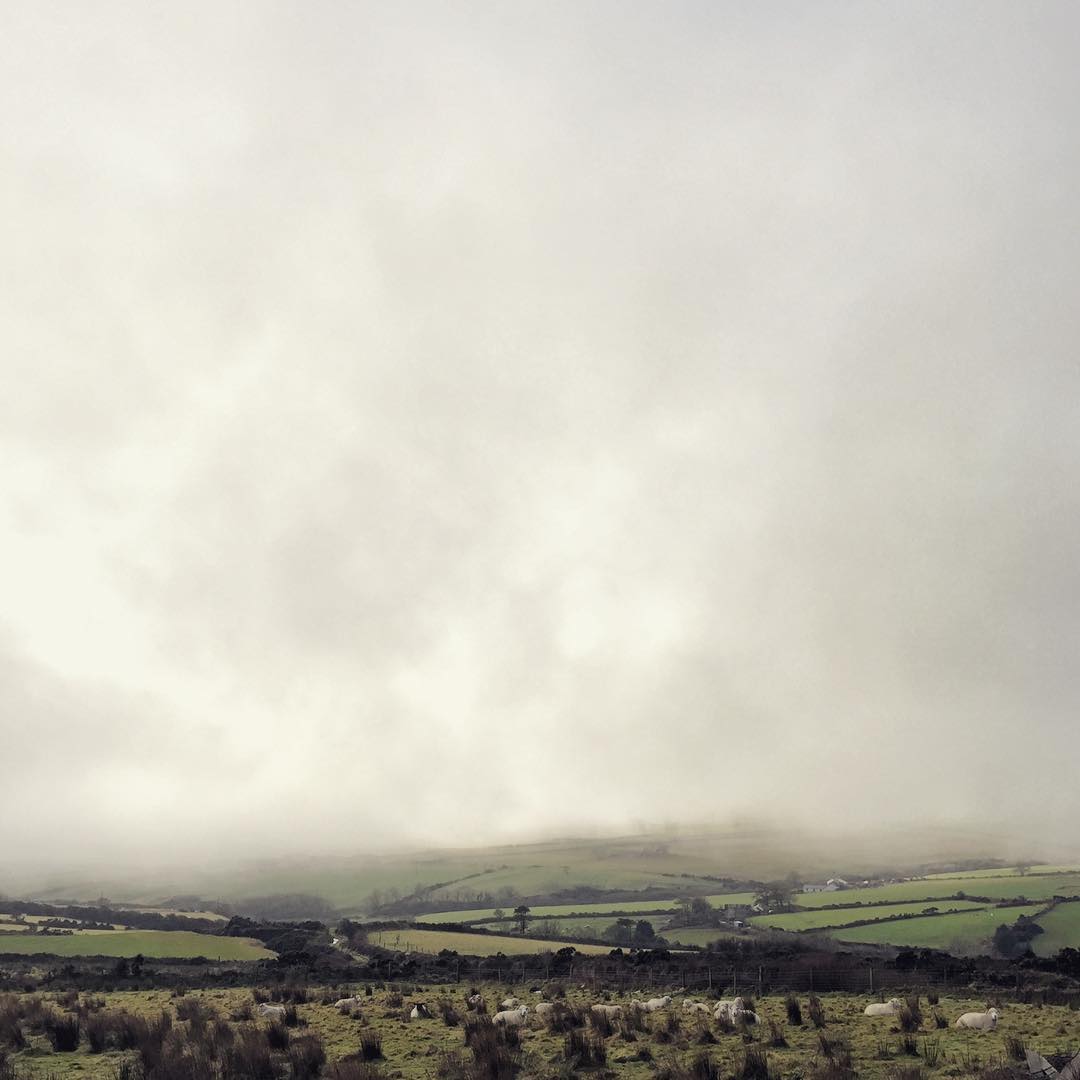 Foggy views