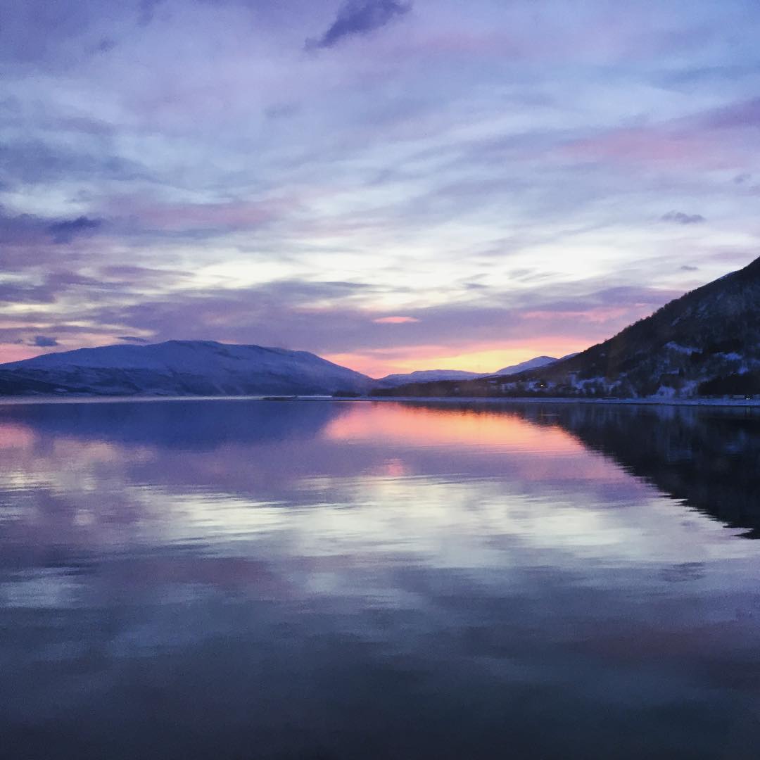 Arctic sunset