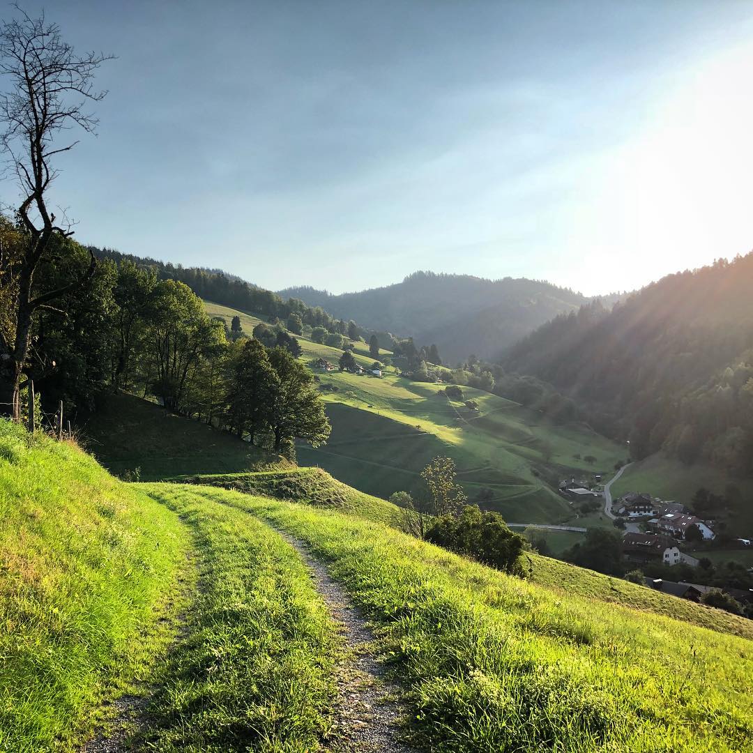 Running through the valley