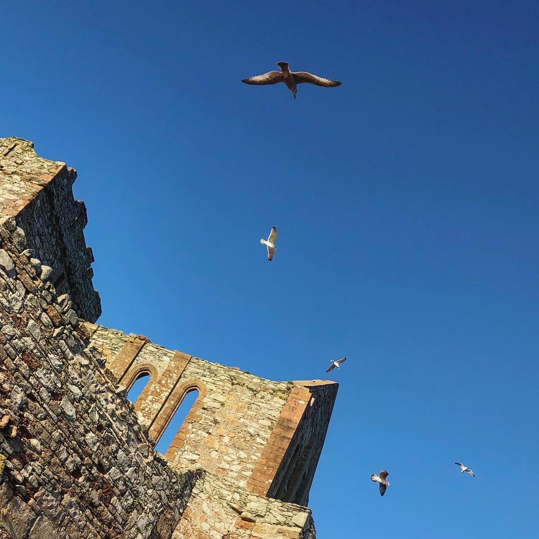 Soaring over Peel Castle
