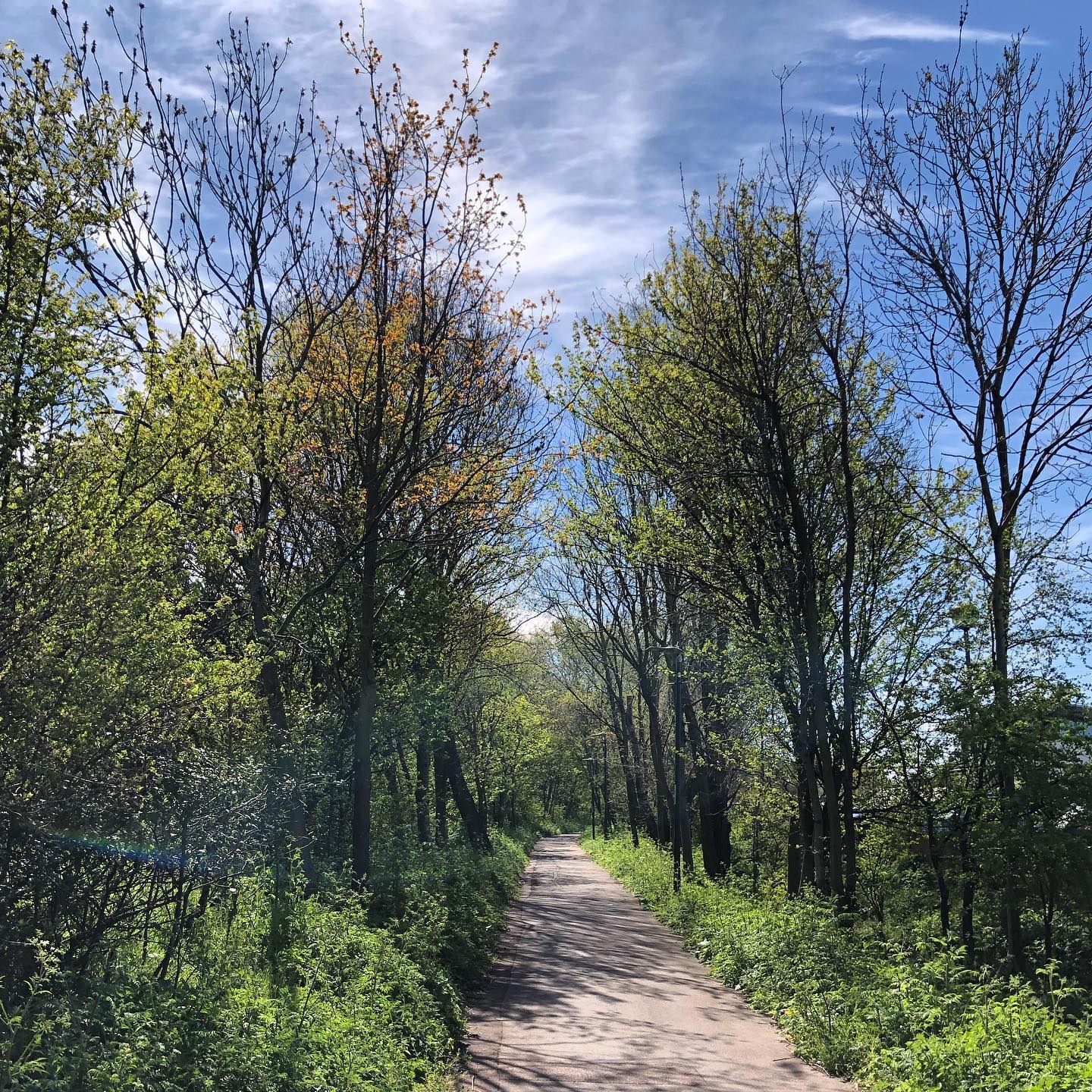 Beckton path