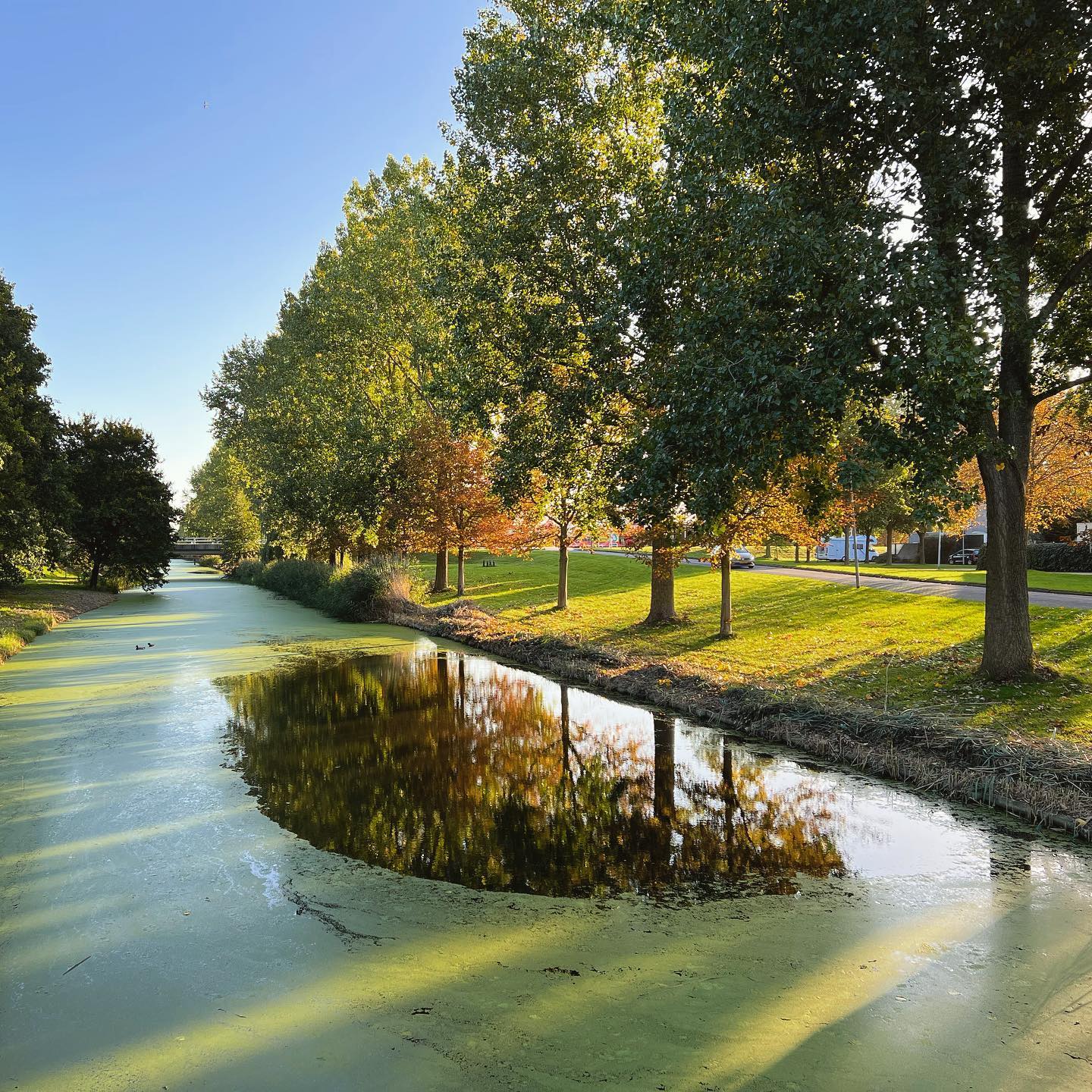 Canal run