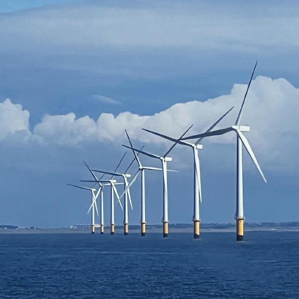 Waiting for wind