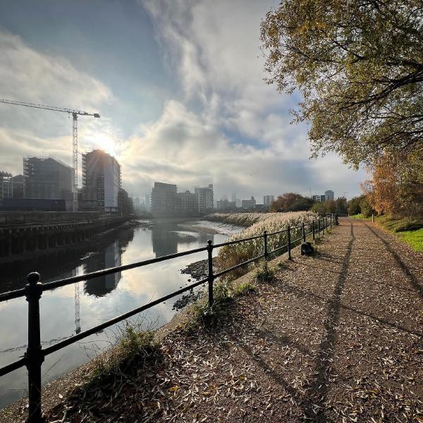 Cody Dock walk