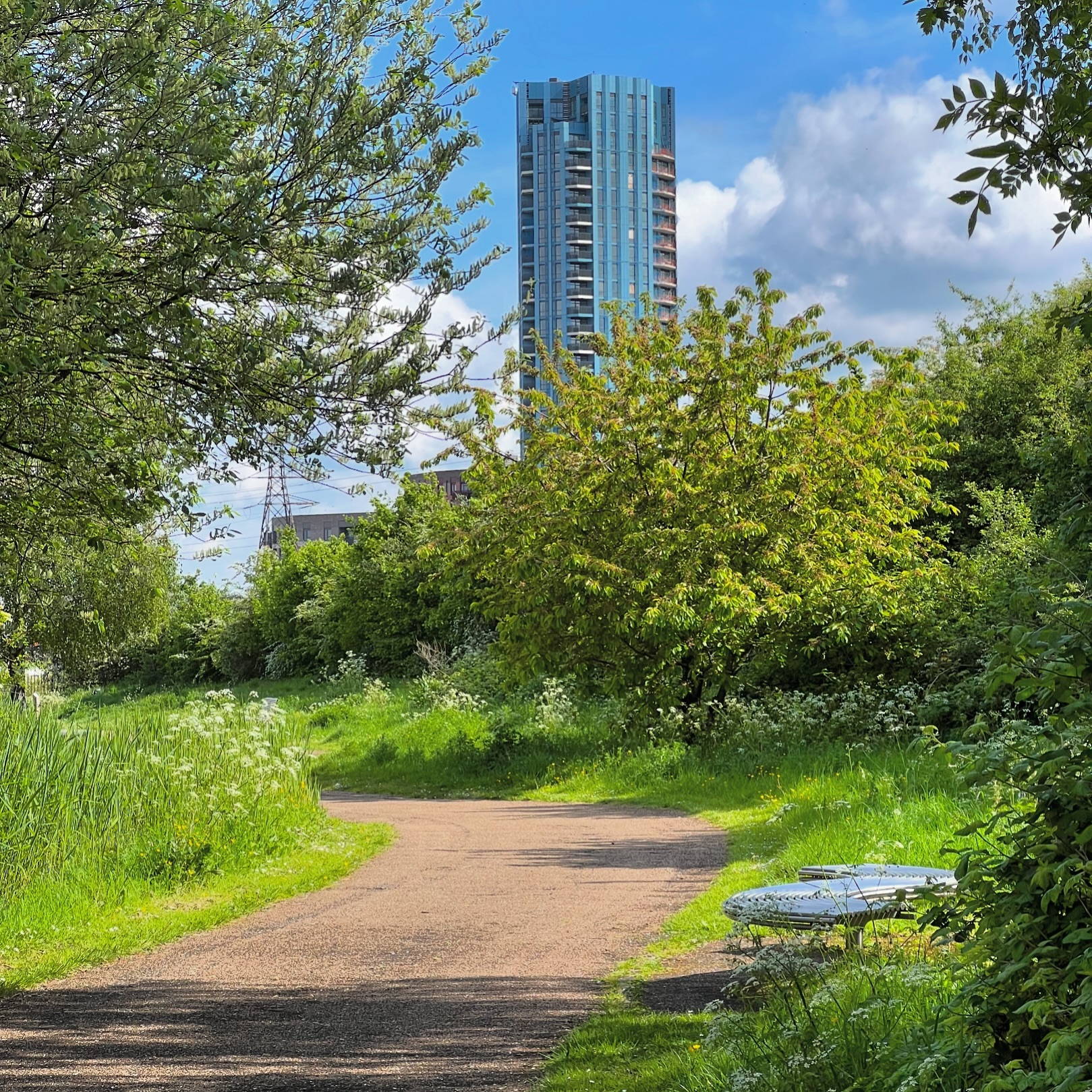 Park Views
