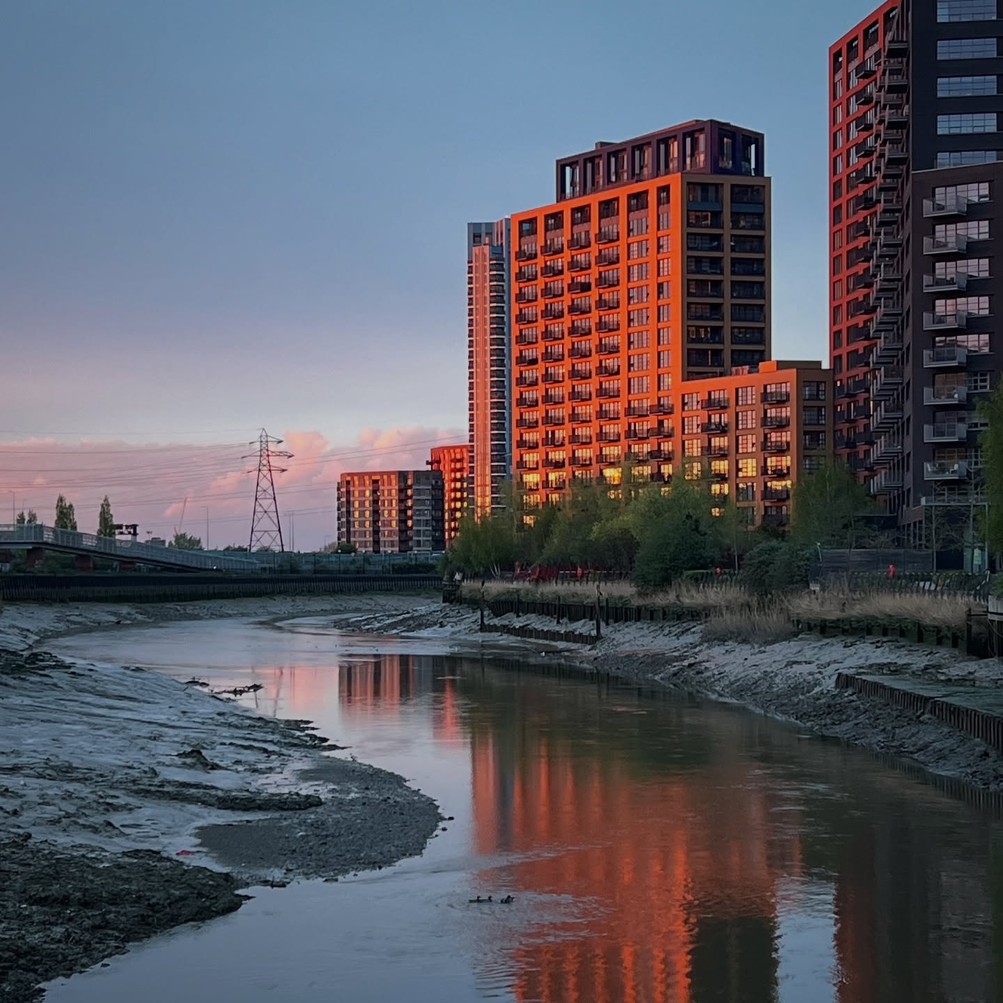 Evening Light