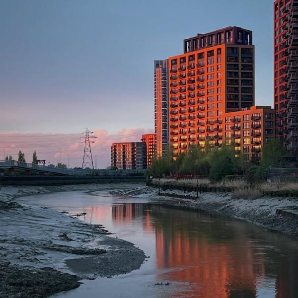 Evening Light