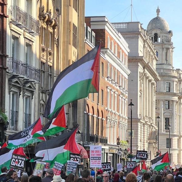 Stop Starving Gaza 🇵🇸