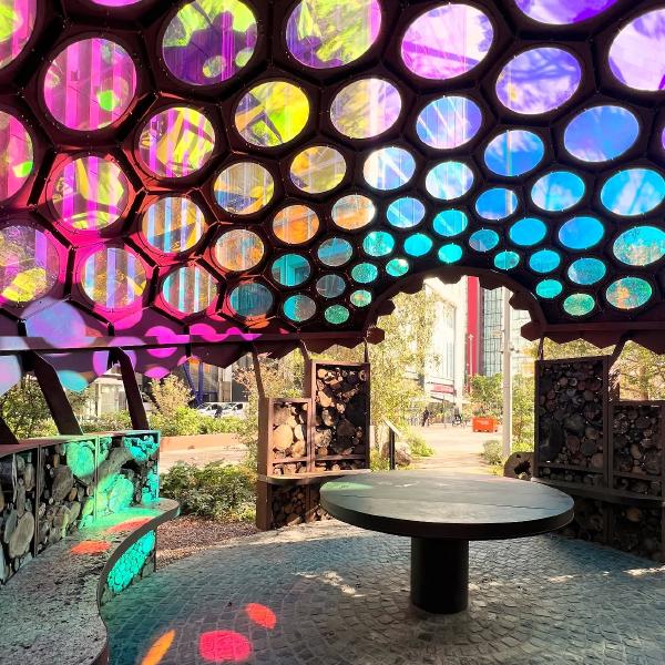 The Royal Entomological Society Insect Garden