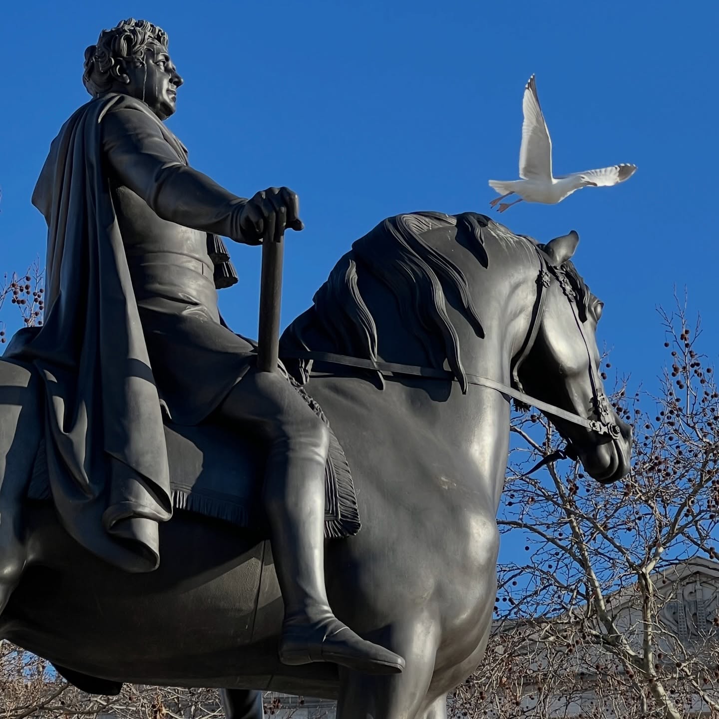 Keeping an eye on Trafalgar Square