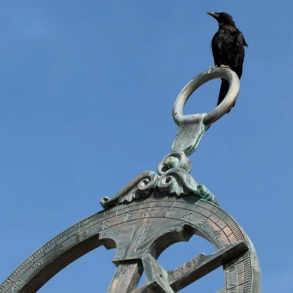 Crow navigator